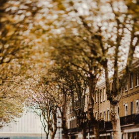 6 Nelson Street office spaces. Click for details.