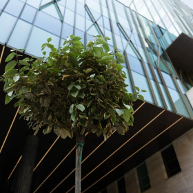 Image of Budapest serviced office. Click for details.