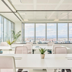 Office suites to let in Madrid. Click for details.