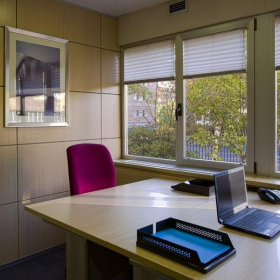Image of Madrid executive suite. Click for details.