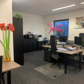 Image of Rotterdam executive office. Click for details.