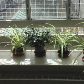 Exterior image of 162, 168 Regent Street, 328 Linen Hall. Click for details.