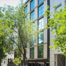 Executive suites in central Madrid. Click for details.