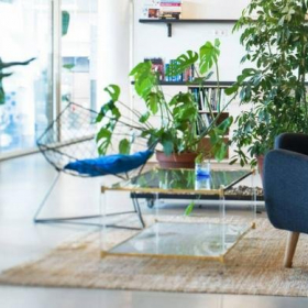 Executive offices in central Amsterdam. Click for details.