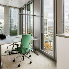 Frankfurt executive office centre. Click for details.